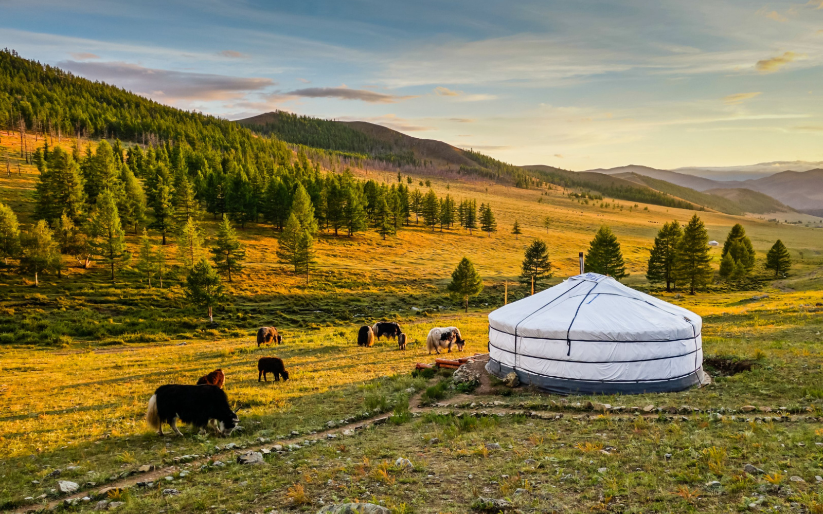 The Best & Worst Times to Visit Mongolia in 2023