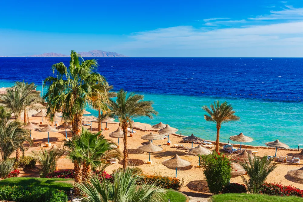 Sharm El Sheikh's Naama Bay with palm trees and umbrellas in front of divided blue waters for a piece on the best beaches in Africa