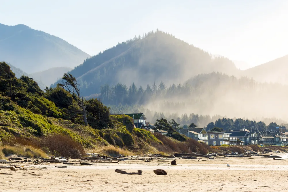 Fog rolls over the deep green trees of the Pacific Northwest during the best time to visit Cannon Beach