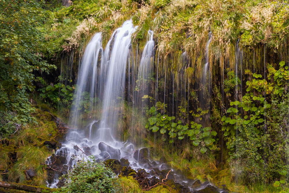 Amazing waterfall pictured during the summer, the overall best time to visit Mt. Shasta, pictured with water falling on moss-covered rocks
