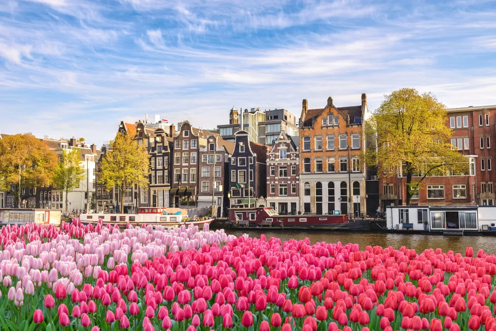 Dutch houses line the canal waterfront in Amsterdam, one of the best places to visit in May with tulips in bloom