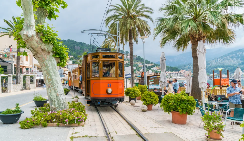 Neat view of the red trolley making its way between palm trees during the best time to visit Mallorca, Spain