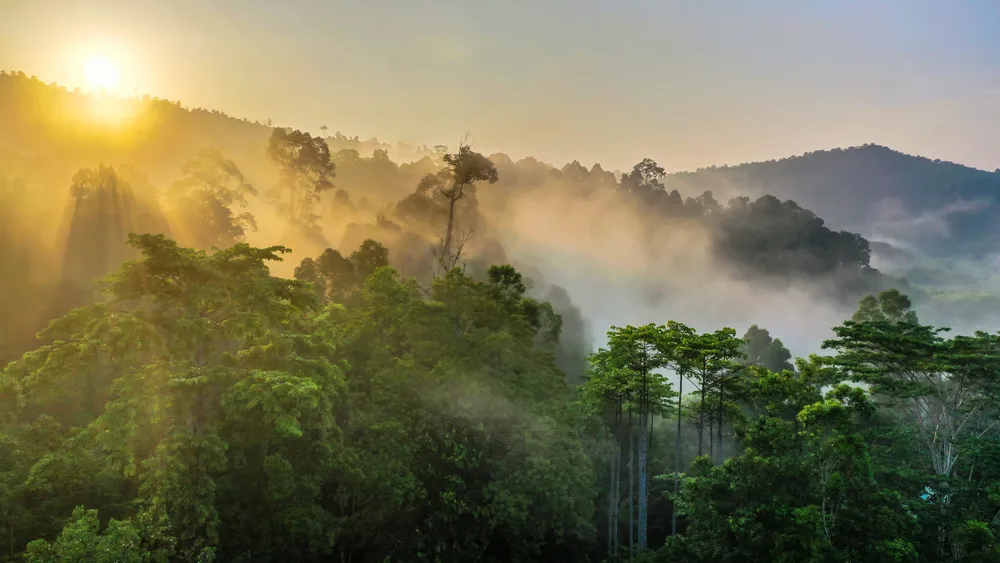 Amazing sunrise in Borneo pictured during the best time to visit with low clouds and fog over the mountains and sun peeking out from behind the hillside