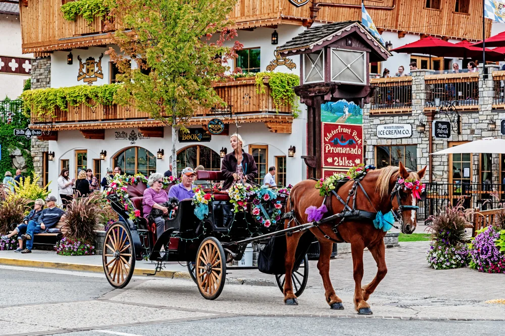 Dutch-looking woman sitting in a horse-drawn carriage driving through the streets of the Bavarian-themed village of Leavenworth during the spring