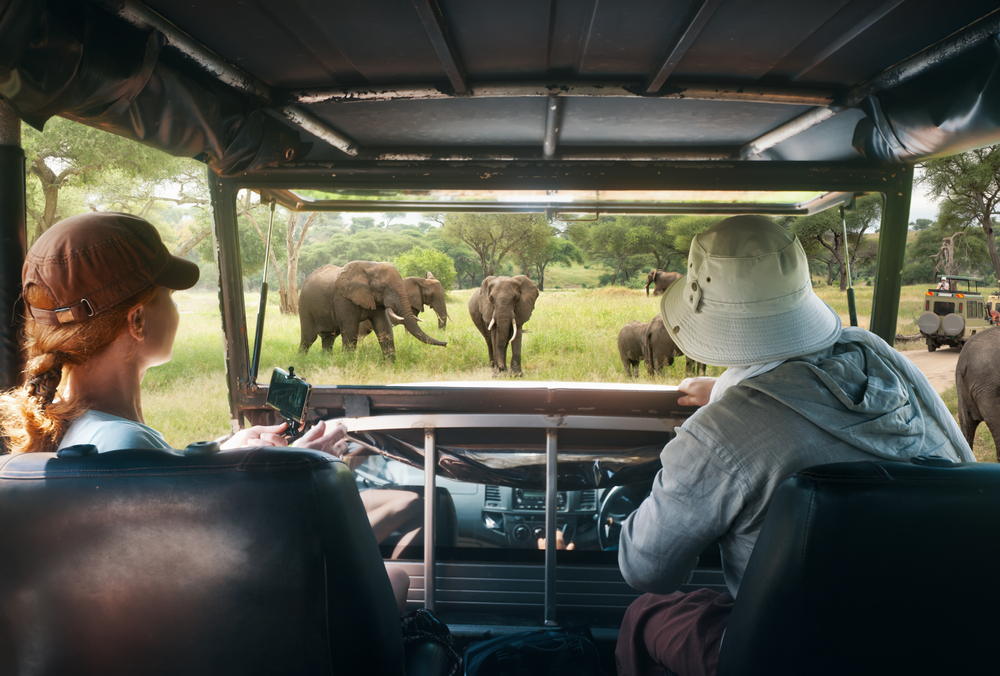 Two people on safari sit in the vehicle watching African elephants for a piece on African safari cost