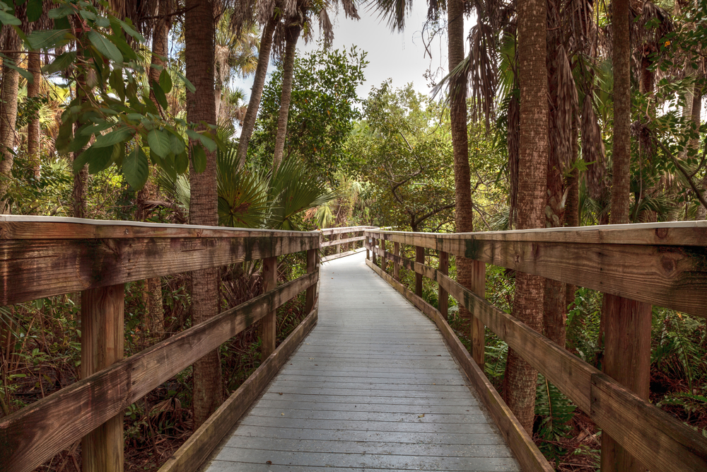 Boardwalk winding through Manatee Park during the least busy time to visit Fort Myers