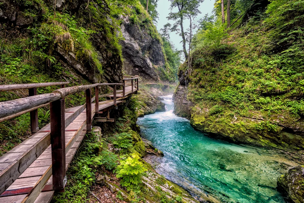 Small winding walkway pictured during the best time to visit Slovenia