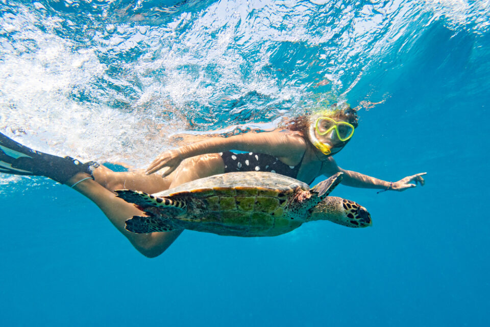 Seychelles Vs Maldives Which One Is Best In 2024   Shutterstock 1936522258 960x640 