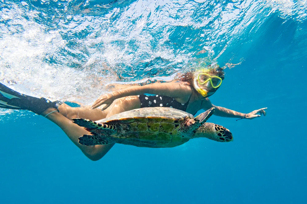 Girl swimming with goggles next to a sea turtle for a frequently asked questions section on Seychelles vs Maldives differences