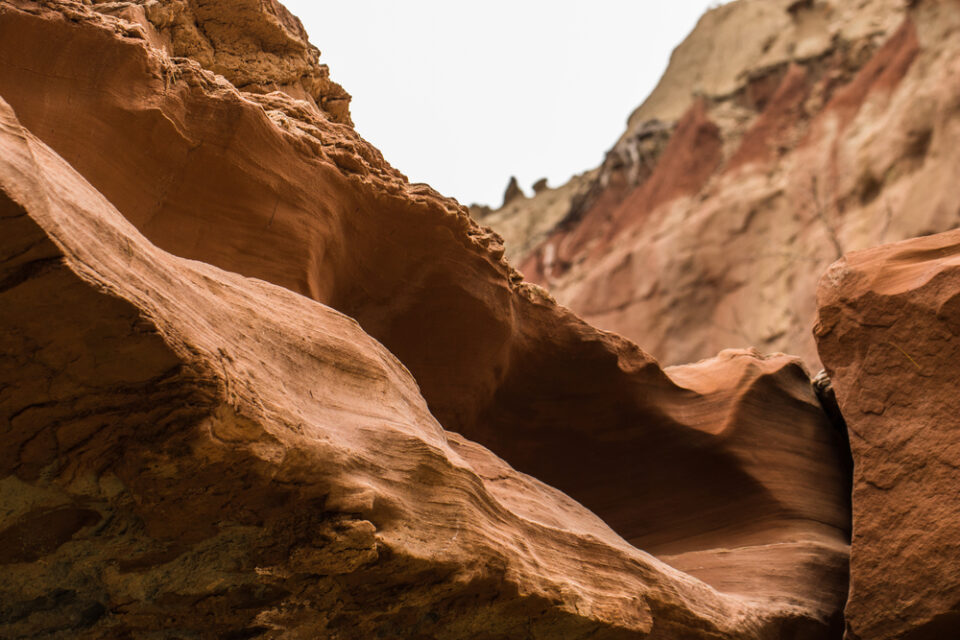 The Best Worst Times To Visit Palo Duro Canyon In 2024   Shutterstock 1988965187 960x640 