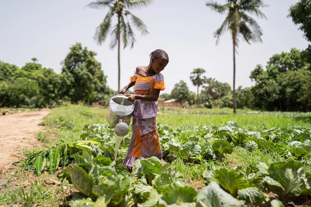 Girl watering a cabbage patch in Mali while smiling and wearing a colorful dress