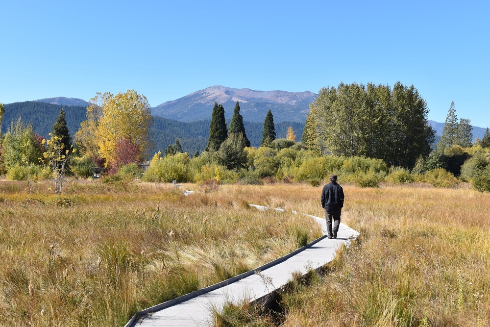 Man walking through Sisson Meadows in Mount Shasta, California during the cheapest time to visit