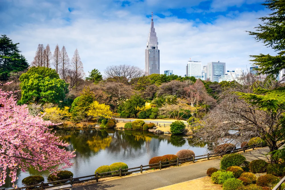 Aerial view of Shinjuku Gyoen Park in Tokyo during spring with cherry blossoms in bloom and skyline visible for a list of the best places to visit in May