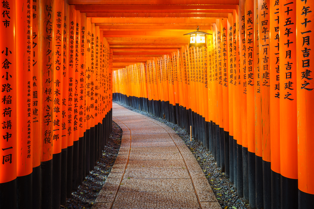 Torii gates pictured in red on either side of the walkway, as seen during the best time to visit Kyoto