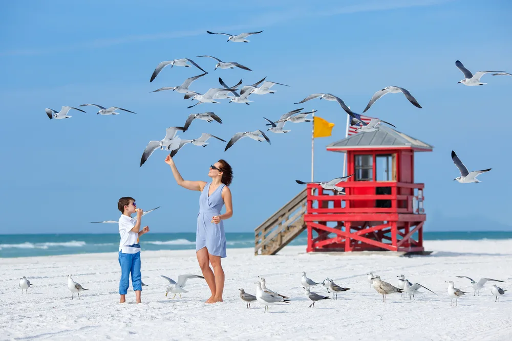 Young mother next to her son feeding seagulls during the cheapest time to visit Clearwater
