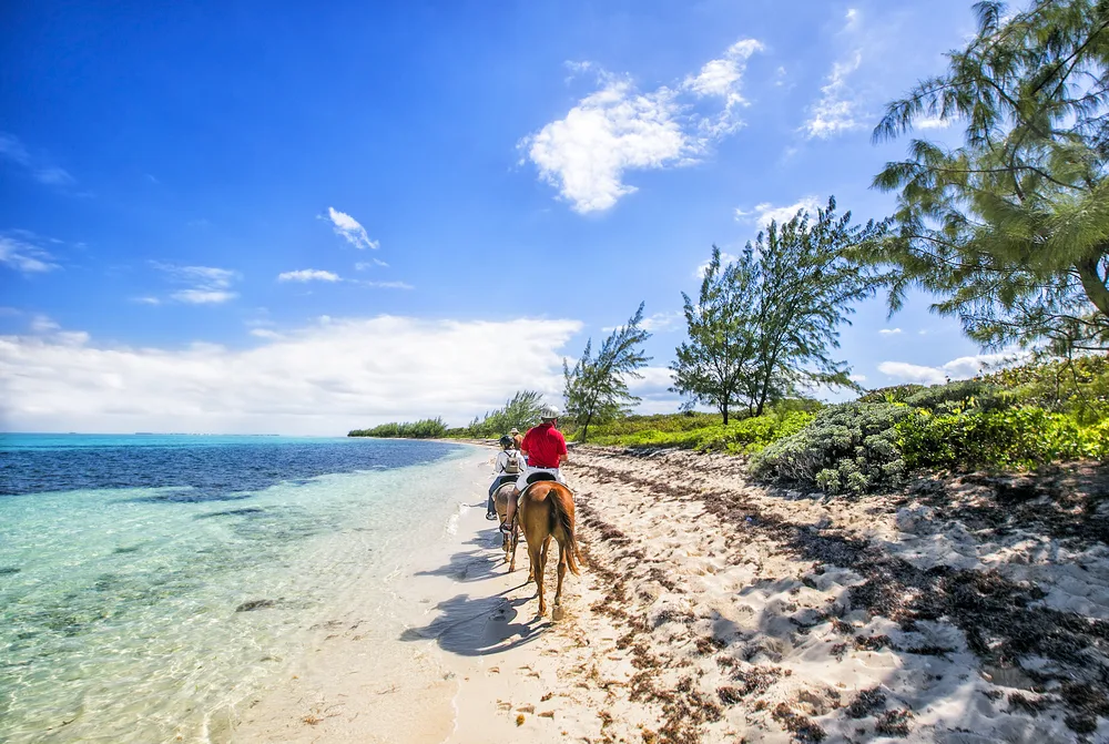 Two people in red and white shirts riding on horseback along a seaweed-covered beach while trees on their right blow in the wind during the best time to go to Grand Cayman