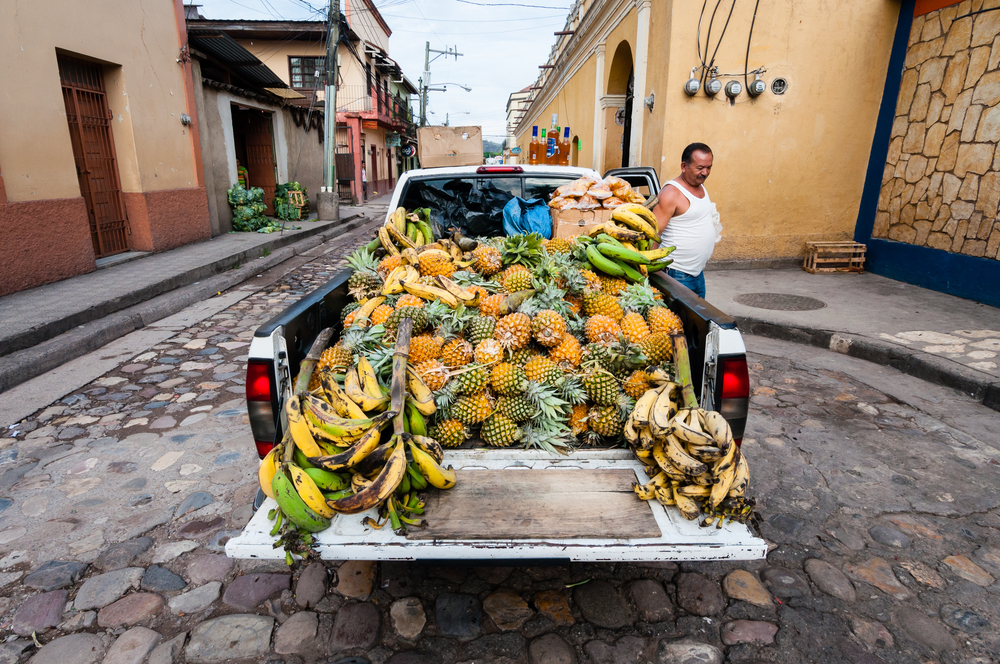 Photo of a bunch of bananas on the back of a truck in Honduras during the best time to visit