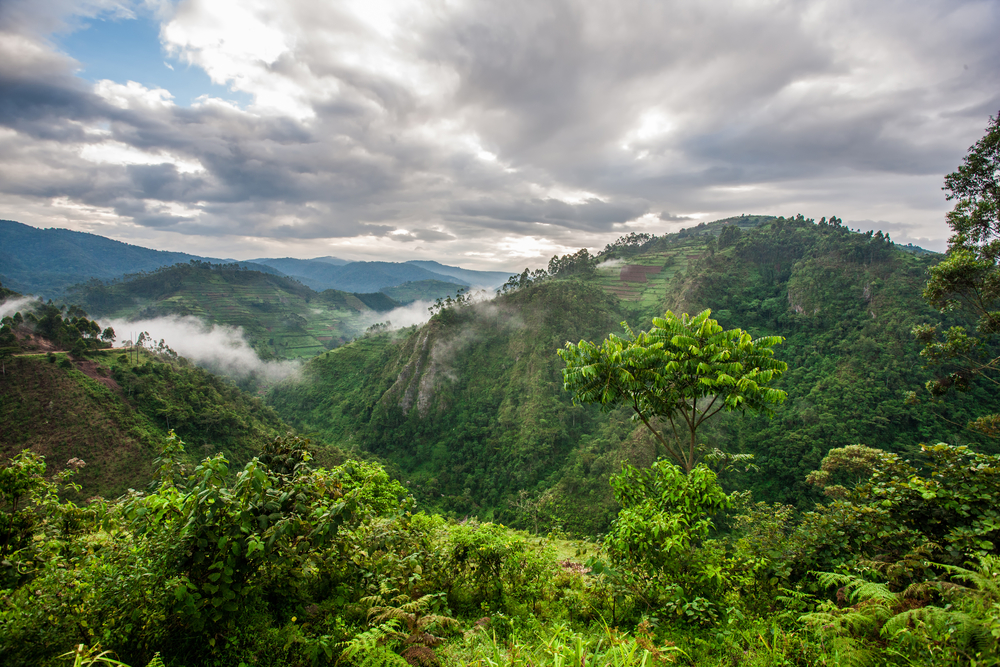 Aerial view of Bwindi Impenetrable Forest National Park in Uganda with clouds overhead as one of the top spots for a honeymoon in Africa