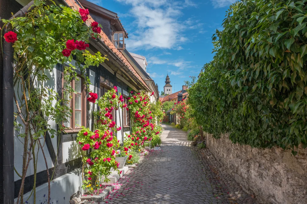 Old brick path next to a white and brown house in the charming old town of Visby during the summer