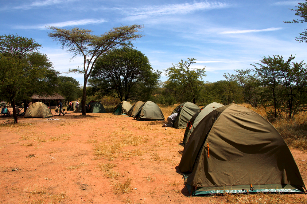Campsite at Serengeti National Park in Tanzania during the wildebeest migration
