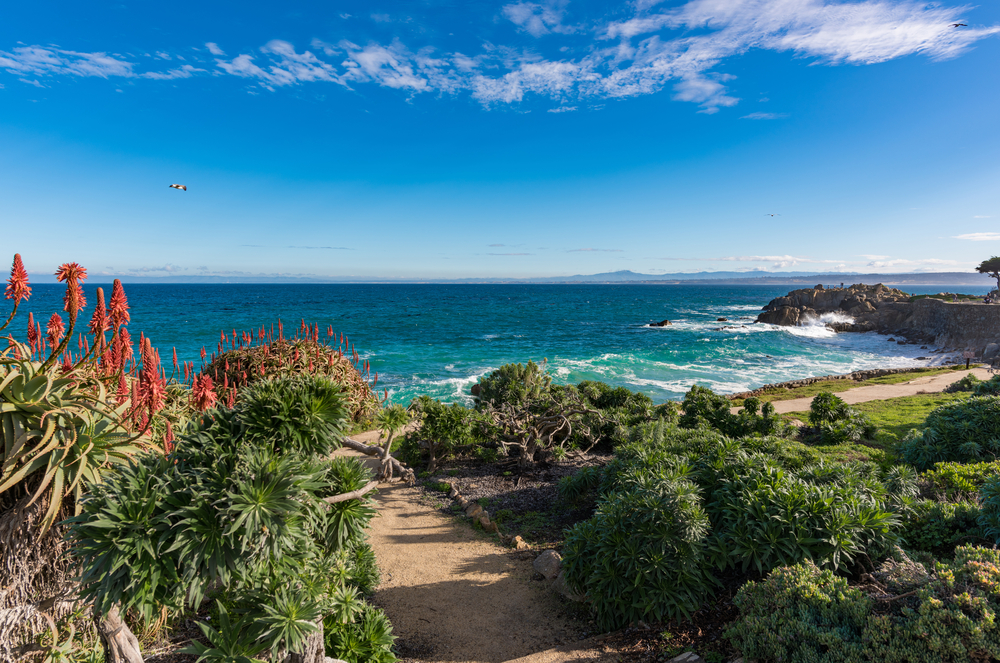 Foot path leading to the coastline and beach with vegetation on either side and blue skies overhead pictured during the best time to visit Monterey California