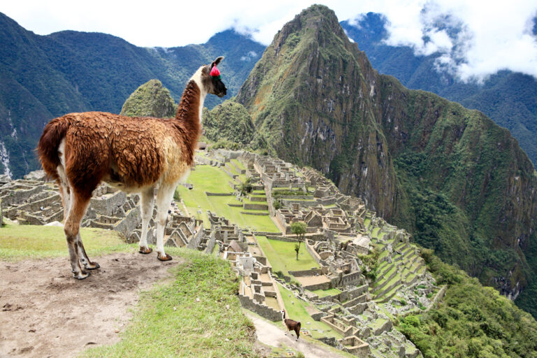 Is South America Safe To Visit In 2024 Safety Tips   Shutterstock 64481752 768x512 