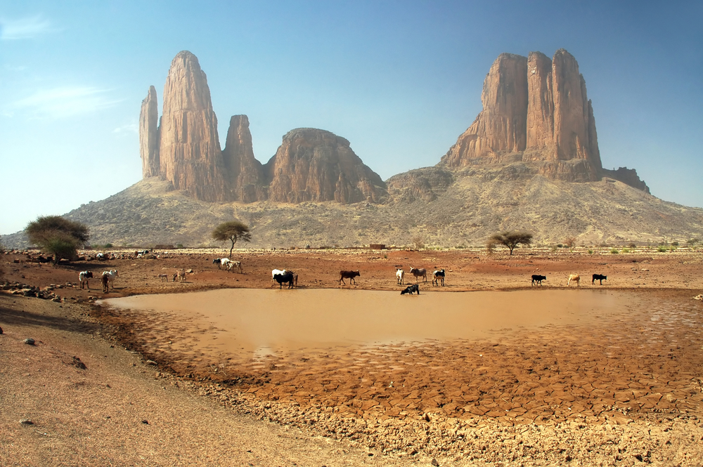 Cows grazing around the Main de Fatima rock formation in Mali