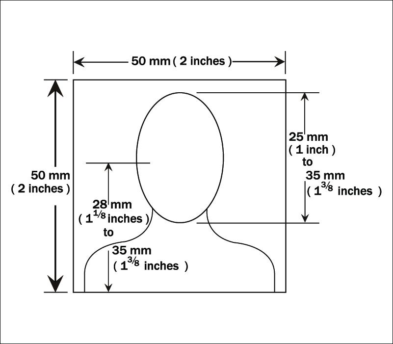 Passport photo requirements to indicate an acceptable photo for a piece on how to take a good passport photo