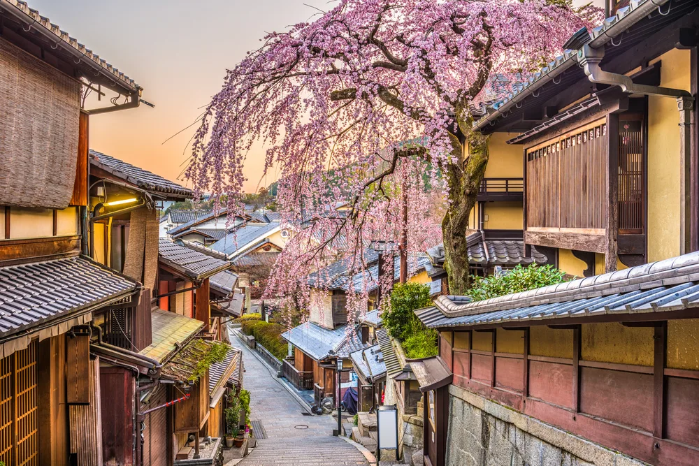 Springtime in Kyoto, one of of the best places to go to in April, with gorgeous pink cherry blossoms over the small village
