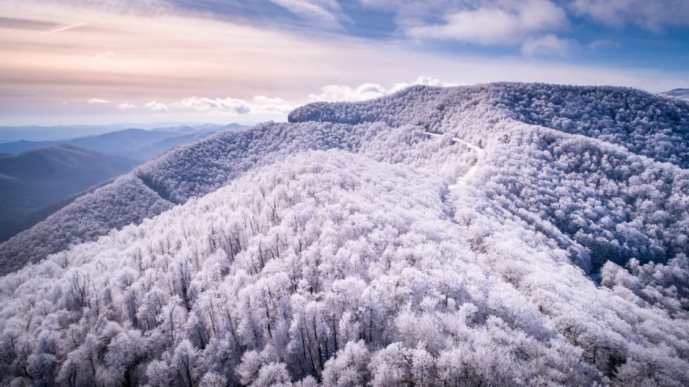 Snow-covered trees above Blue Ridge Parkway below clear skies in the winter
