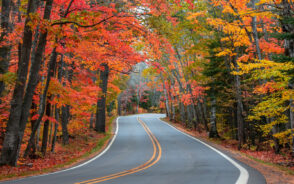 For a piece titled the Best Time to Visit Tunnel of Trees in Michigan, a road winds through the idyllic orange and red trees
