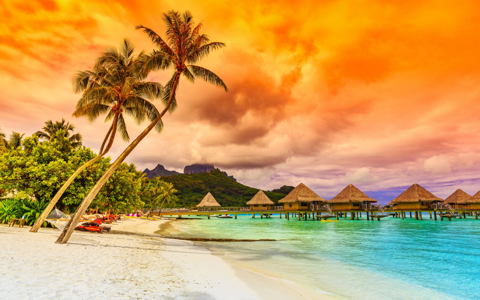 Photo of a palm tree at one of the best places to stay in Bora Bora pictured on a dusk evening with an orange sky above