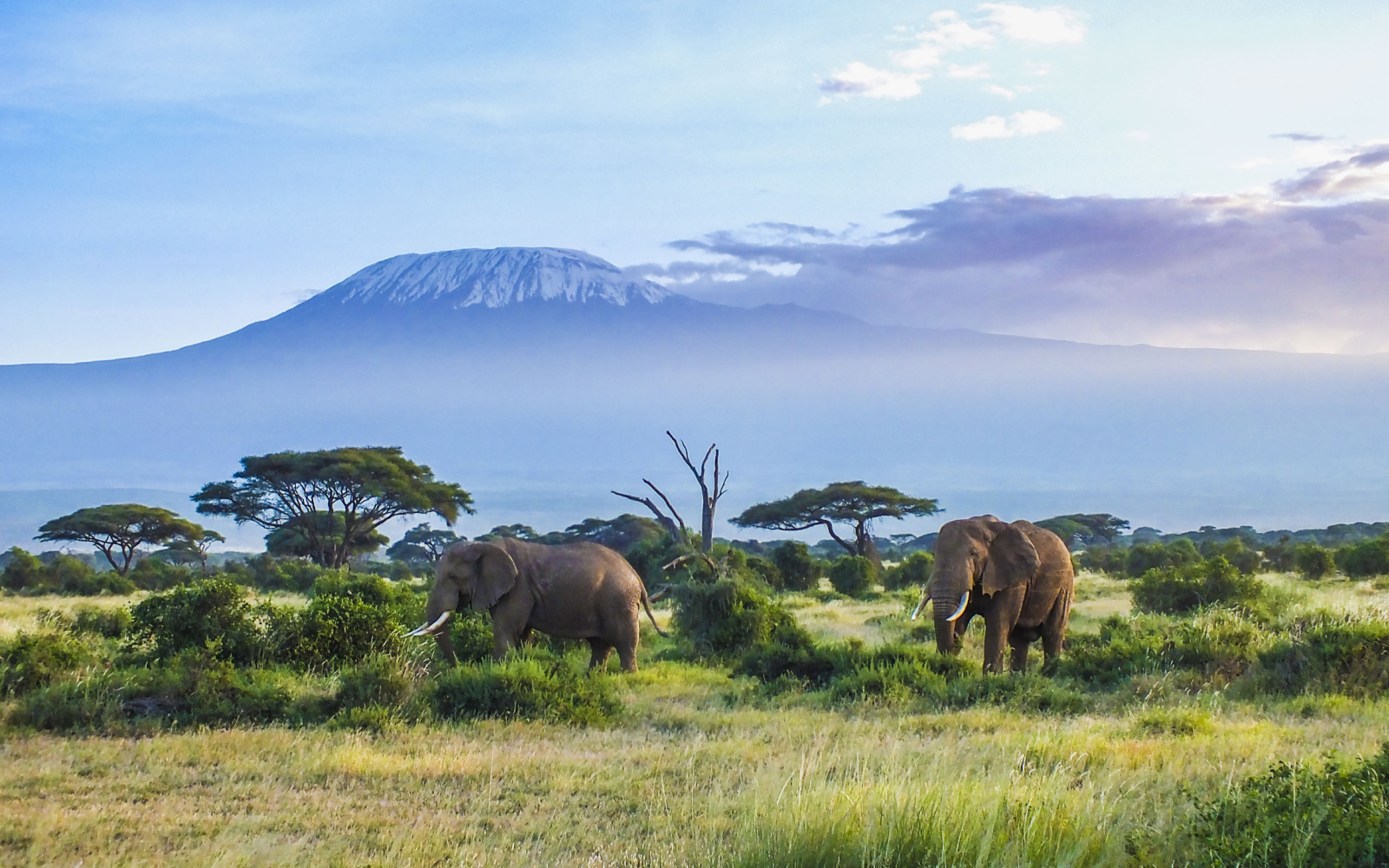 Is Tanzania Safe to Visit in 2024? | Safety Concerns
