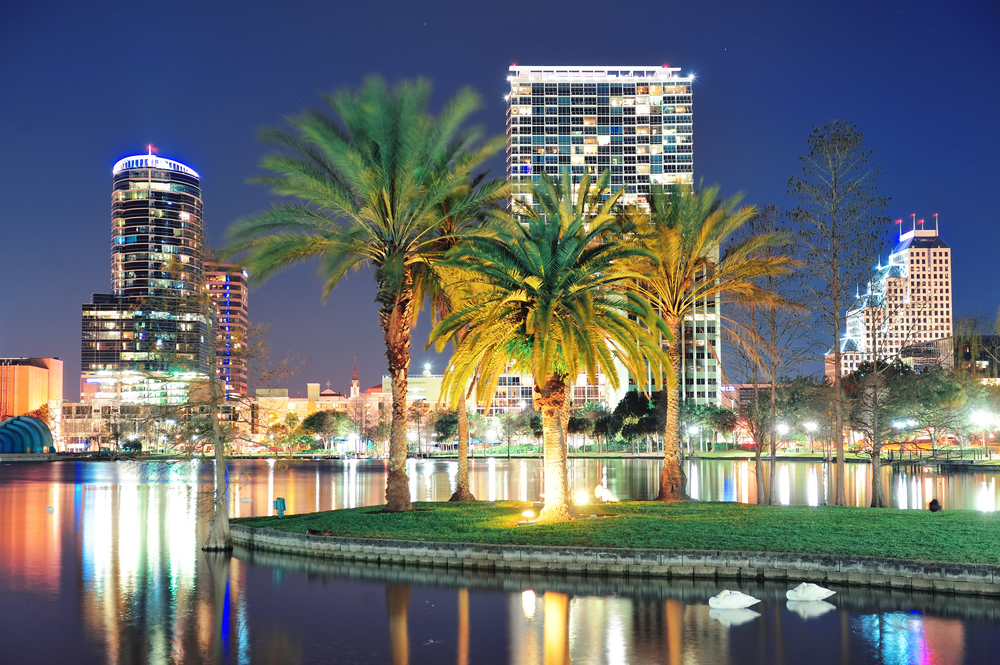 Palm trees on Eola Lake at night with some of Orlando's best hotels in the background