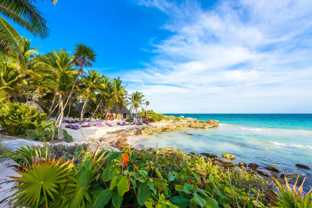 Neat view of one of the best hotels in Tulum with a secluded beach with chairs overlooking the ocean surrounded by vegetation