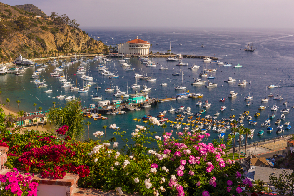 Aerial view of the town and harbor of Santa Catalina, one of Southern California's best places to visit