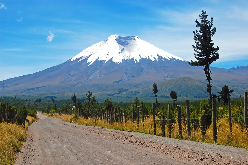 Long dirt road that leads indefinitely into the wild of Cotopaxi National Park