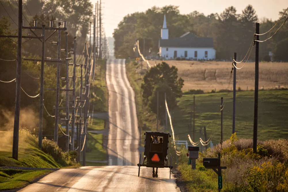 Horse and buggy making its way down the hilly streets of Amish County with lush green hills on either side