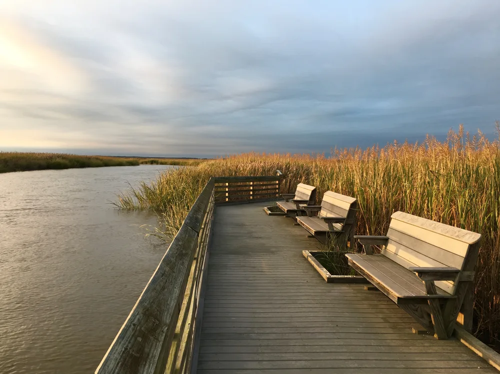 Chairs on a boardwalk on the bombay Hook National Wildlife Refuge pictured as one of the best places to visit in Delaware