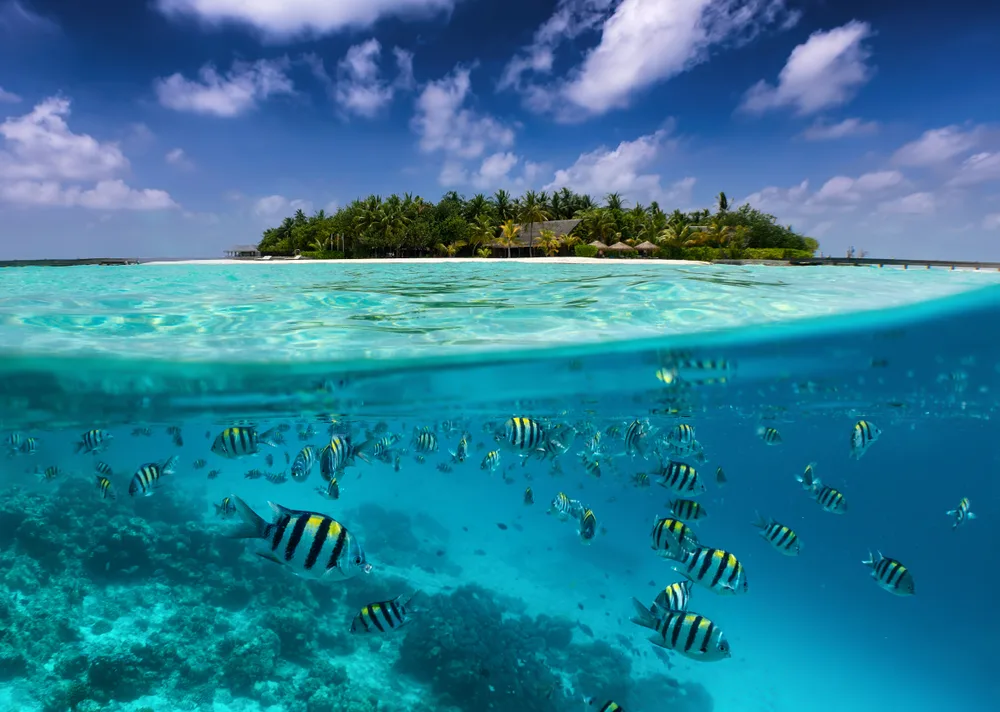 Split underwater view showing colorful fish and one of the best Maldives islands in the distance