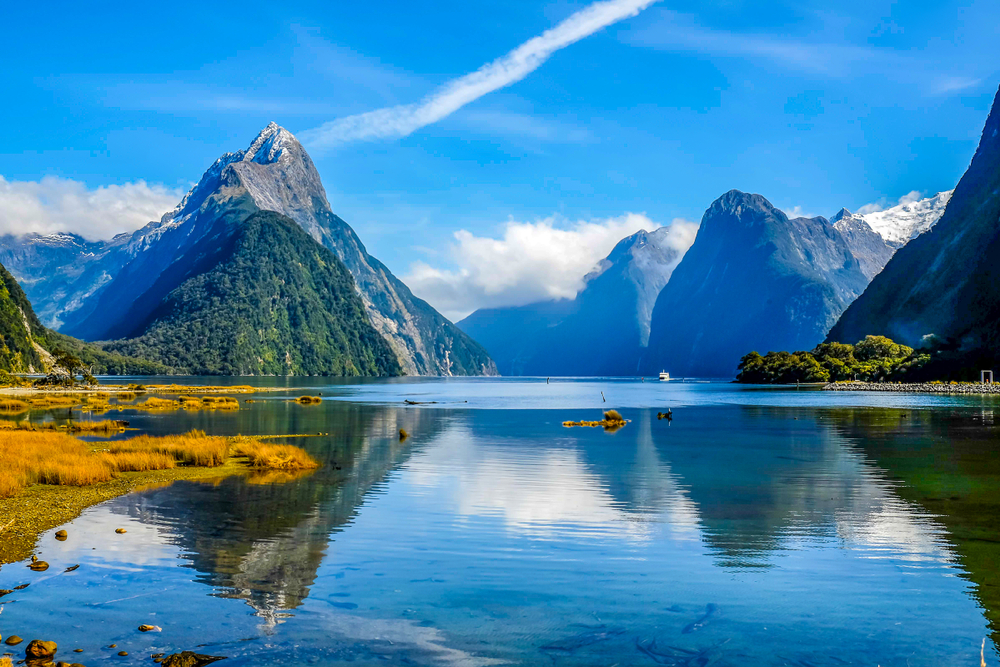 Blue skies overhead in the Fjordland National Park in New Zealand, one of the best places to visit in the country