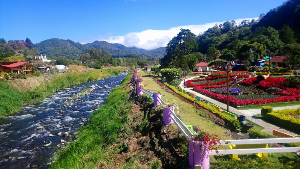 River running along gorgeous red flower field in Boquete, one of the best places to visit in Panama