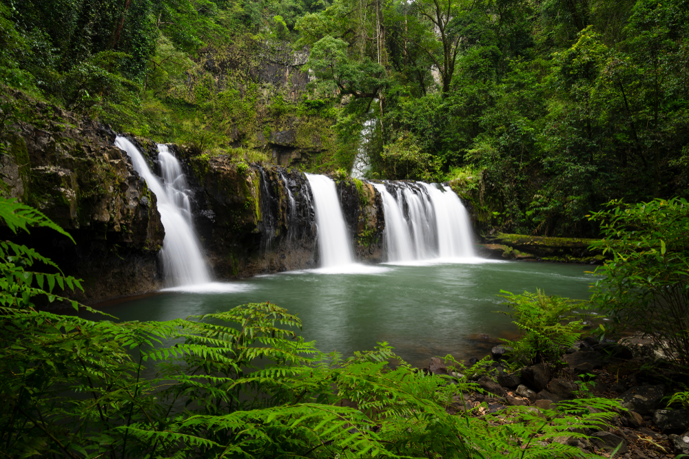 Waterfall in tropical north Queensland, pictured with lush vegetation all around the pond