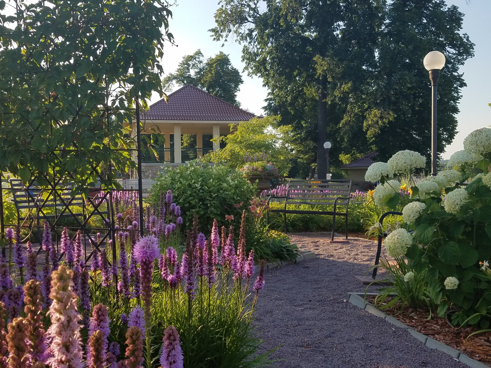 Neat view of the Orange Tiger Lily gardens in New Ulm, a top pick for Minnesota's best places to visit