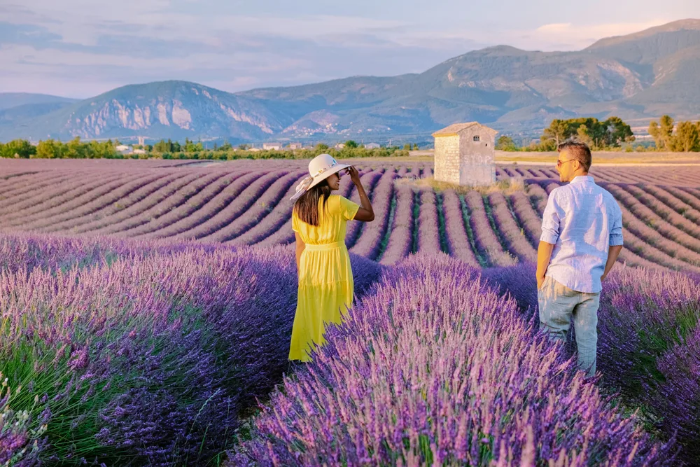 Lavender fields of Valensole Plateau in France pictured with a woman in yellow and a man in white standing next to each other