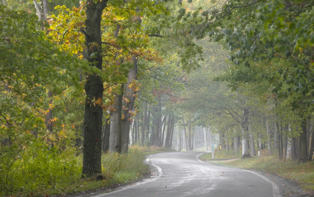 February along the scenic Highway 119 near Harbor Springs as seen on a foggy and misty day during the least busy time to visit the Tunnel of Trees