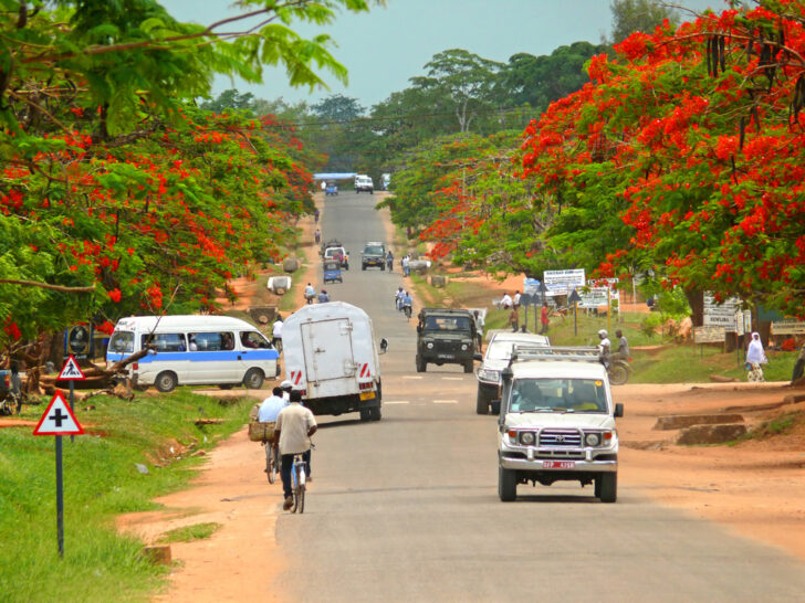 Is Tanzania Safe To Visit In 2024 Safety Concerns   Shutterstock 187271384 728x546 