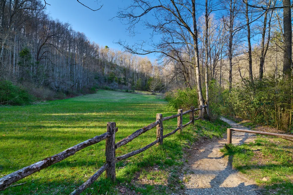 Hiking trail at the Pisgah National Forest in North Carolina, one of the state's best places to visit