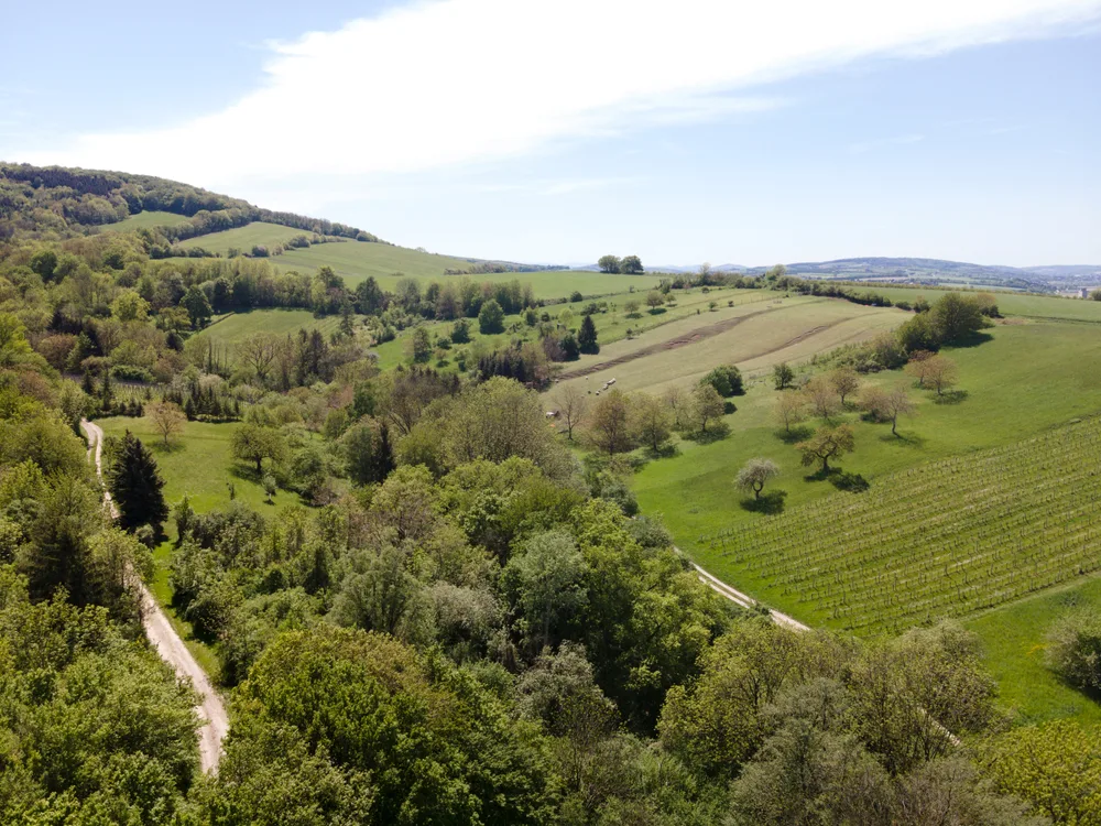 Aerial drone shot of a winery and road winding through one of Austria's best places to visit, the Vienna Woods