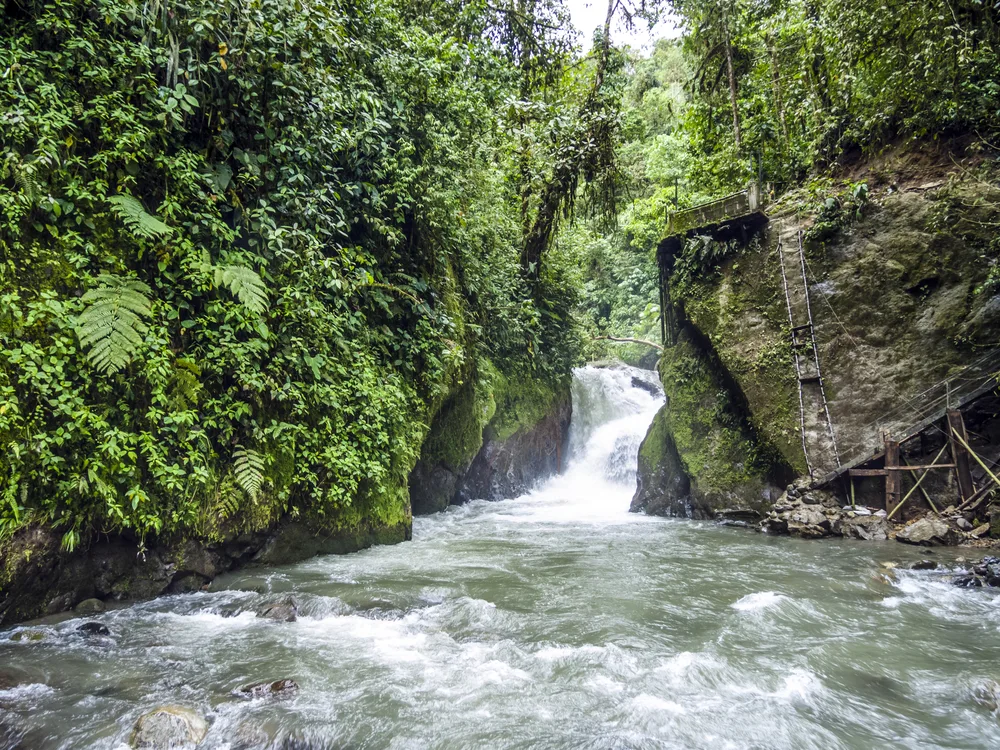 Old logging chute pictured along the banks of the Rio Mindo, one of the best places to visit in Ecuador, pictured with the river running at full speed between thick trees